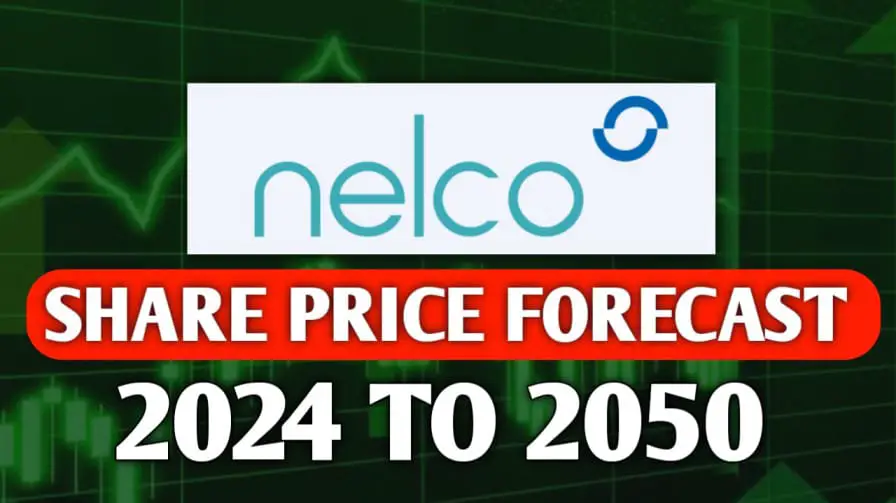 Nelco Share Price Target