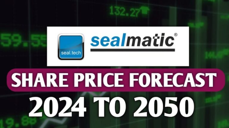 Sealmatic Share Price Target